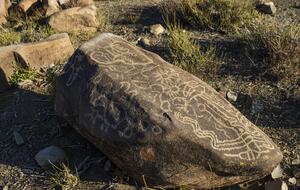 Elegant Countryside Haven in Hacienda Frutillar y Tambillo - Petorca, Chile