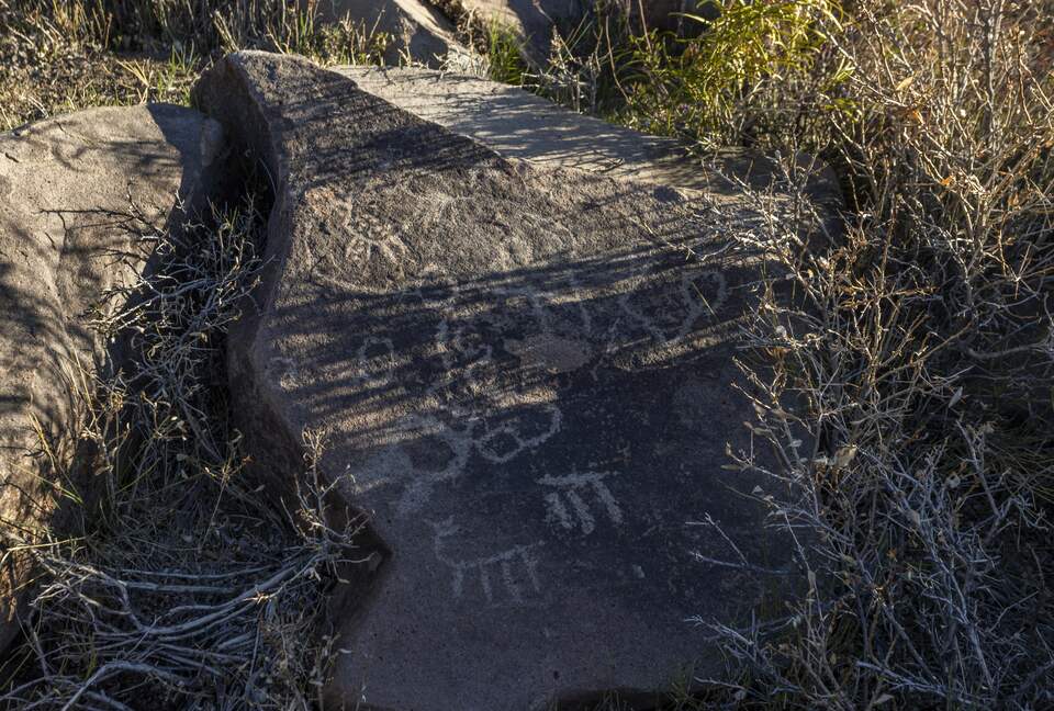Elegant Countryside Haven in Hacienda Frutillar y Tambillo - Petorca, Chile