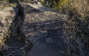 Elegant Countryside Haven in Hacienda Frutillar y Tambillo - Petorca, Chile