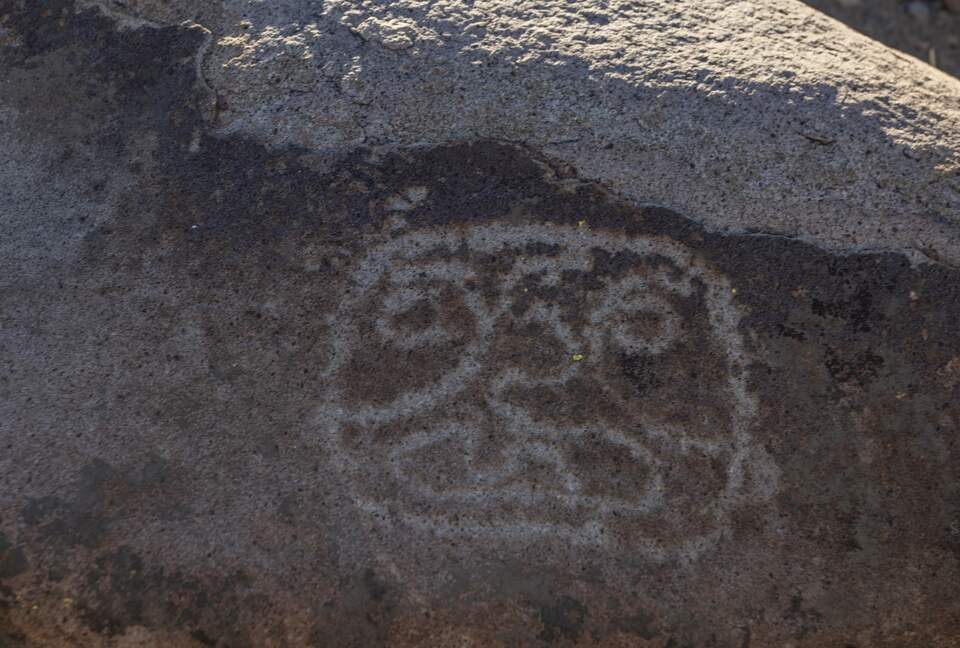 Elegant Countryside Haven in Hacienda Frutillar y Tambillo - Petorca, Chile