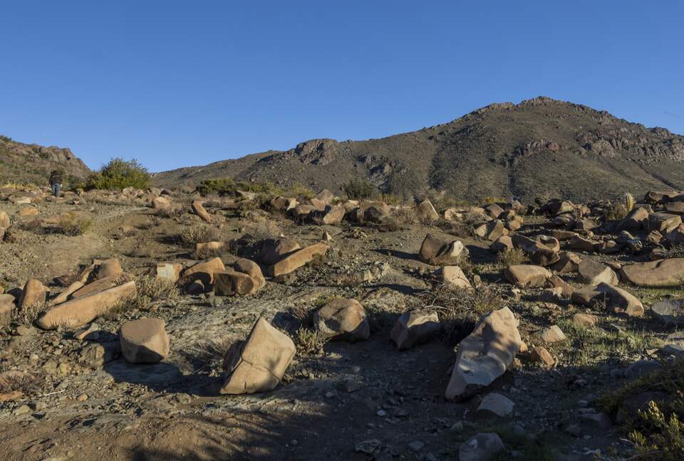 Elegant Countryside Haven in Hacienda Frutillar y Tambillo - Petorca, Chile