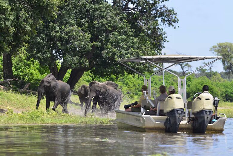 A Meru Safari Tent at the Ichingo River Lodge - Eastern Caprivi, Namibia