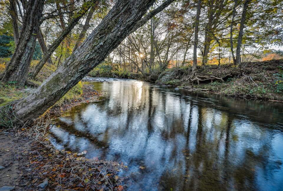 Blue Ridge Hideaway | Creekside Comfort Meets Mountain Adventure - Morganton, Georgia