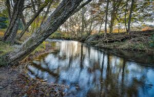 Blue Ridge Hideaway | Creekside Comfort Meets Mountain Adventure - Morganton, Georgia