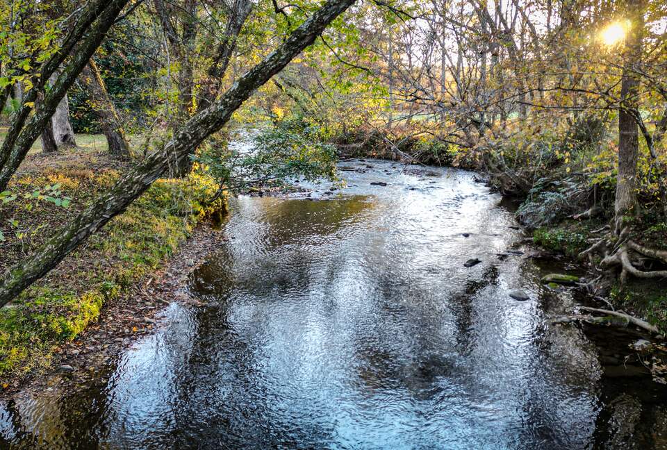 Blue Ridge Hideaway | Creekside Comfort Meets Mountain Adventure - Morganton, Georgia