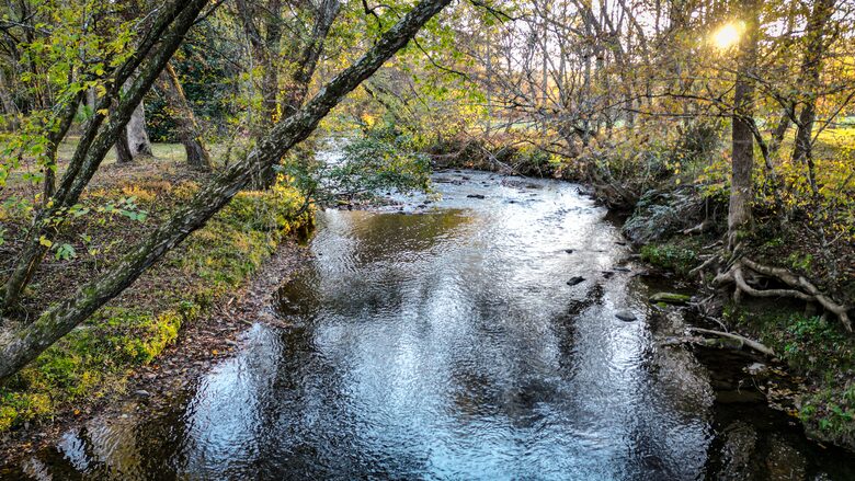 Blue Ridge Hideaway | Creekside Comfort Meets Mountain Adventure - Morganton, Georgia