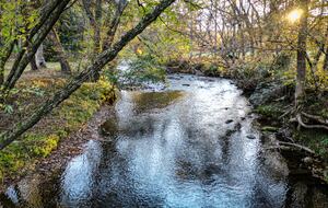 Blue Ridge Hideaway | Creekside Comfort Meets Mountain Adventure - Morganton, Georgia