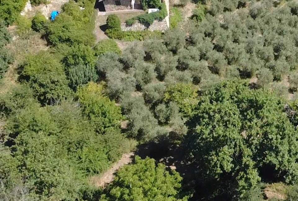 Elegant One-Bedroom Retreat in a Restored Tuscan Villa - Massa Marittima, Italy