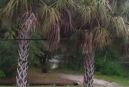 Charming Two-Story Treehouse Near Tampa Bay & Clearwater Beaches - Tampa, Florida