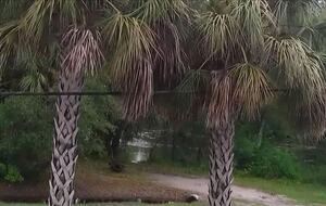 Charming Two-Story Treehouse Near Tampa Bay & Clearwater Beaches - Tampa, Florida