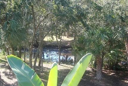 Charming Two-Story Treehouse Near Tampa Bay & Clearwater Beaches - Tampa, Florida