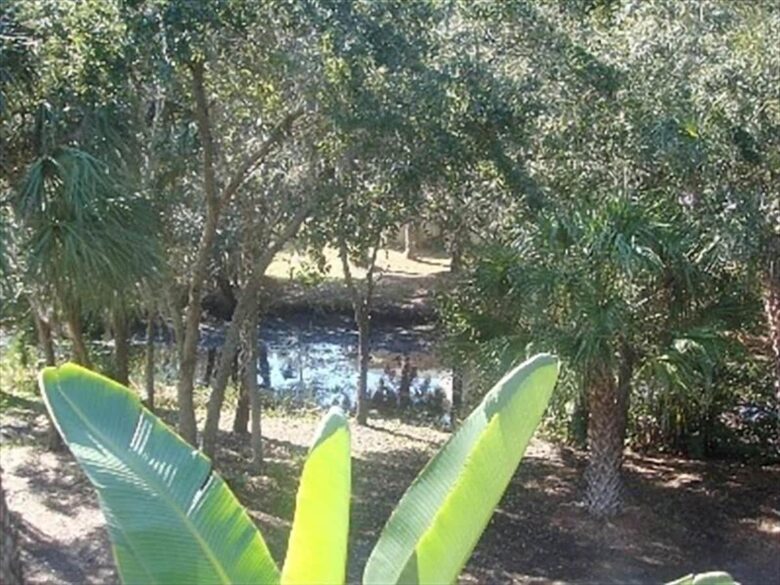 Charming Two-Story Treehouse Near Tampa Bay & Clearwater Beaches - Tampa, Florida