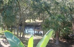 Charming Two-Story Treehouse Near Tampa Bay & Clearwater Beaches - Tampa, Florida