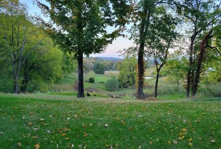 Modern Country Escape Near Arrington Vineyards & Franklin - College Grove, Tennessee