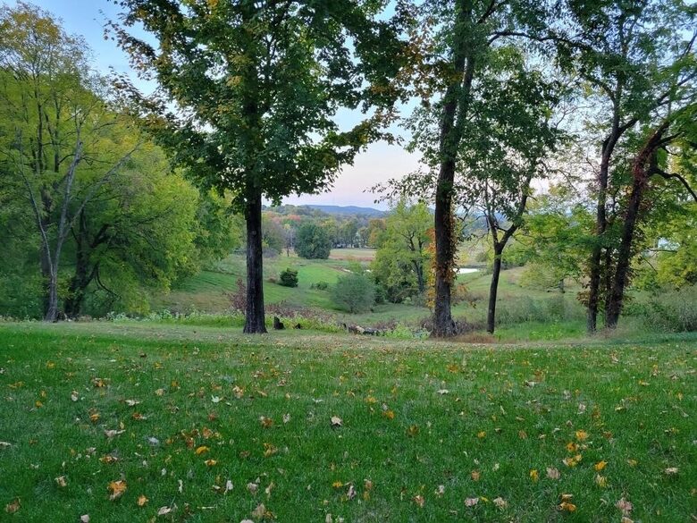 Modern Country Escape Near Arrington Vineyards & Franklin - College Grove, Tennessee