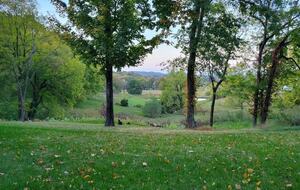 Modern Country Escape Near Arrington Vineyards & Franklin - College Grove, Tennessee