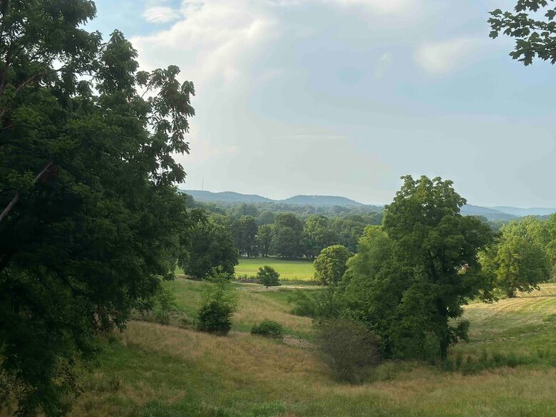 Modern Country Escape Near Arrington Vineyards & Franklin - College Grove, Tennessee