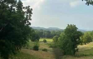 Modern Country Escape Near Arrington Vineyards & Franklin - College Grove, Tennessee