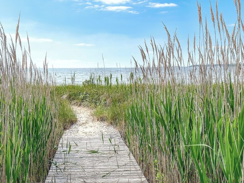 Elegant Coastal Estate on Indian Neck Peninsula - Wareham, Massachusetts