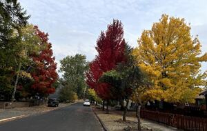 Old Bend River Cottage Retreat - Bend, Oregon