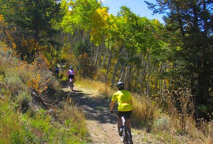 Cozy Village Mountain Retreat for all seasons in Beaver Creek - Edwards, Colorado