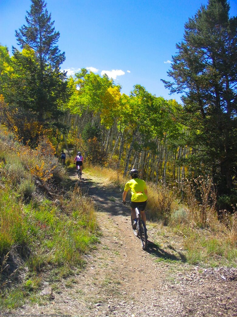 Cozy Village Mountain Retreat for all seasons in Beaver Creek - Edwards, Colorado
