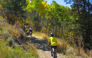 Cozy Village Mountain Retreat for all seasons in Beaver Creek - Edwards, Colorado