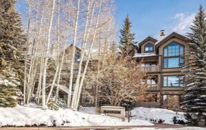 Cozy Village Mountain Retreat for all seasons in Beaver Creek - Edwards, Colorado