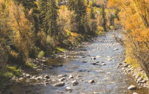 Cozy Village Mountain Retreat for all seasons in Beaver Creek - Edwards, Colorado