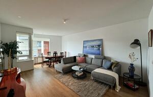 Cozy & Stylish Downtown Apartment - Reykjavík, Iceland