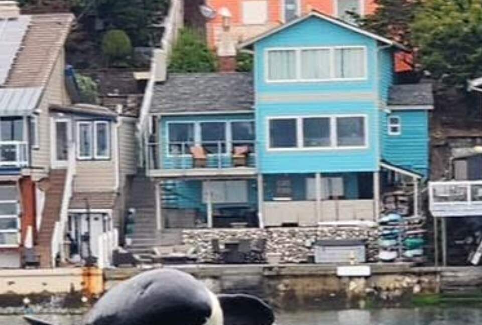 Not AI! We had a super pod of orcas with over 50 orcas