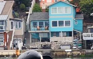 Not AI!  We had a super pod of orcas with over 50 orcas