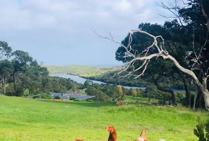 River Blue- Charming Coastal Eco-Retreat Overlooking the Margaret River and Indian Ocean - Margaret River, Australia