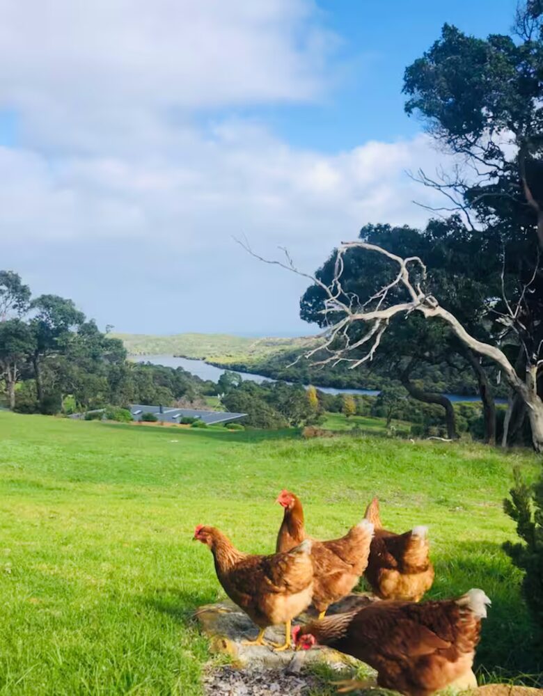 River Blue- Charming Coastal Eco-Retreat Overlooking the Margaret River and Indian Ocean - Margaret River, Australia