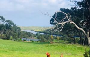 River Blue- Charming Coastal Eco-Retreat Overlooking the Margaret River and Indian Ocean - Margaret River, Australia