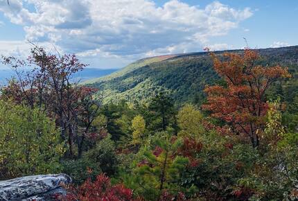Hudson Ridge Escape - New Paltz, New York