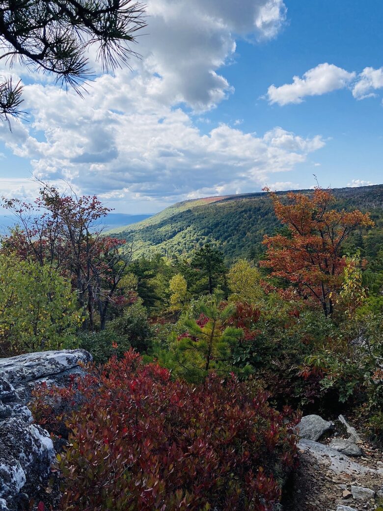 Hudson Ridge Escape - New Paltz, New York