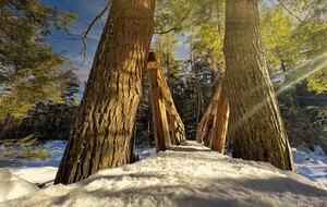 Hudson Ridge Escape - New Paltz, New York