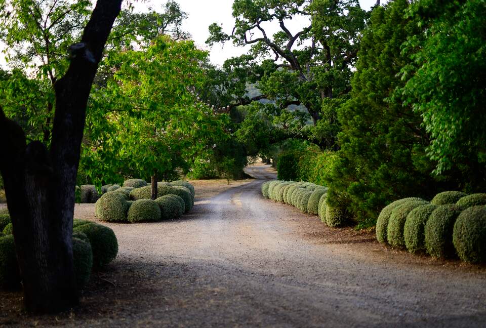 Grand Sonoma Vista Estate - Sonoma, California