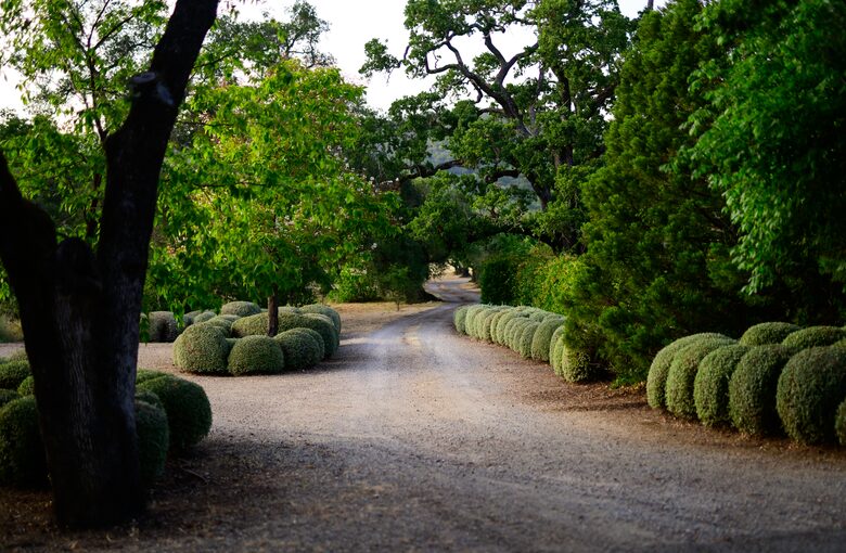 Grand Sonoma Vista Estate - Sonoma, California