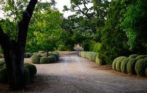 Grand Sonoma Vista Estate - Sonoma, California