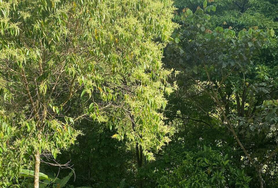 Pura Vida Hideaway - Punta Mala Arriba, Costa Rica