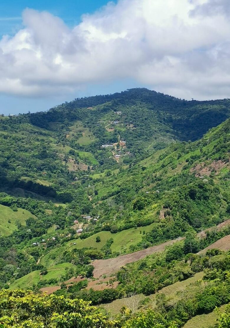 Pura Vida Hideaway - Punta Mala Arriba, Costa Rica
