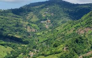 Pura Vida Hideaway - Punta Mala Arriba, Costa Rica