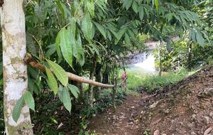 Pura Vida Hideaway - Punta Mala Arriba, Costa Rica