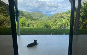 Pura Vida Hideaway - Punta Mala Arriba, Costa Rica