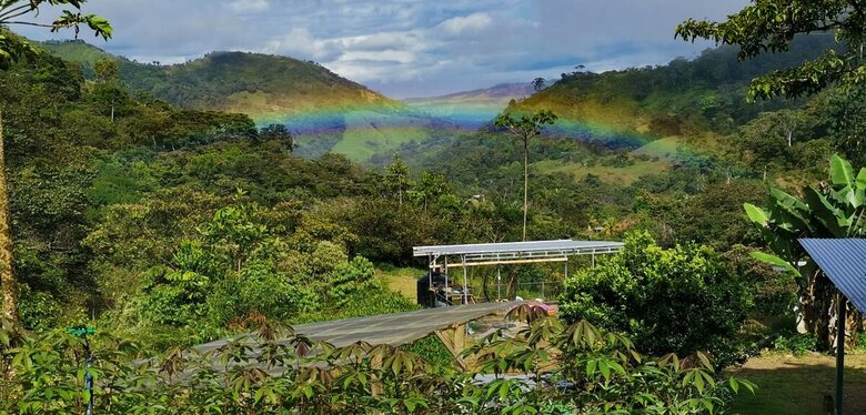 Pura Vida Hideaway - Punta Mala Arriba, Costa Rica