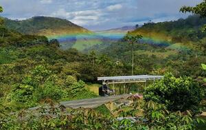 Pura Vida Hideaway - Punta Mala Arriba, Costa Rica