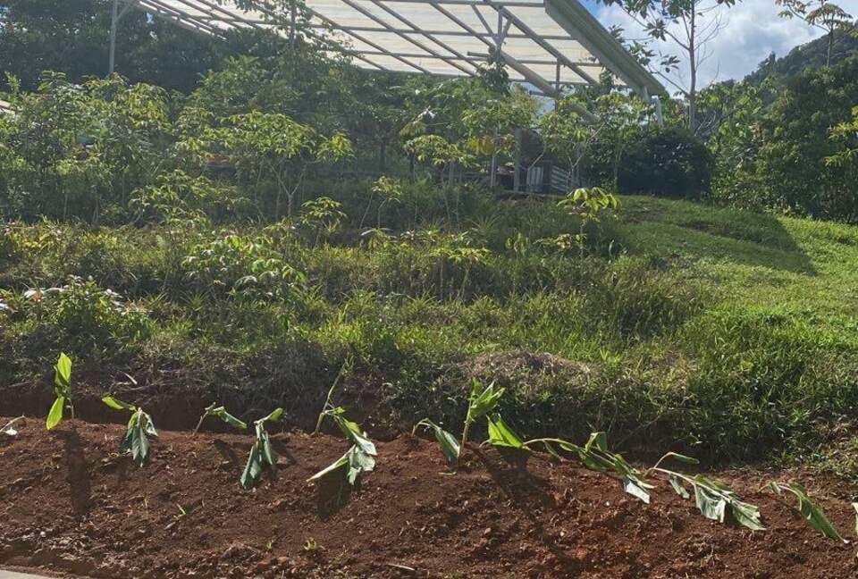 Pura Vida Hideaway - Punta Mala Arriba, Costa Rica
