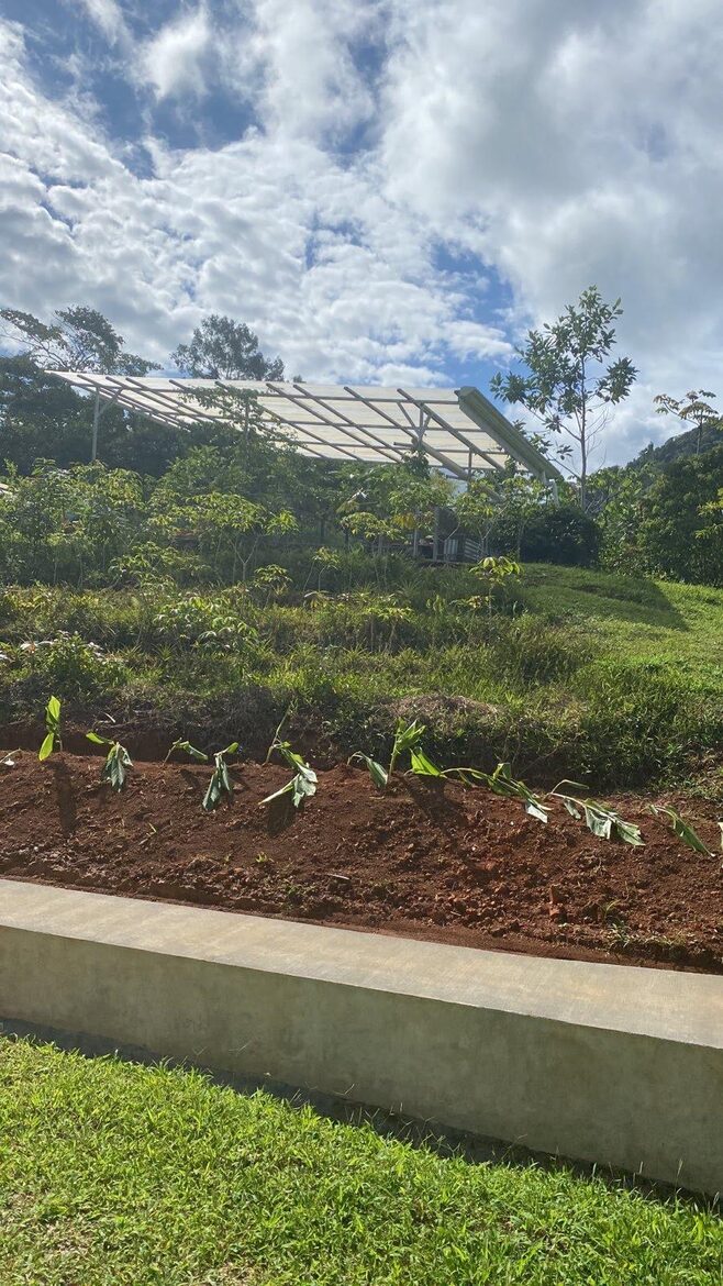 Pura Vida Hideaway - Punta Mala Arriba, Costa Rica